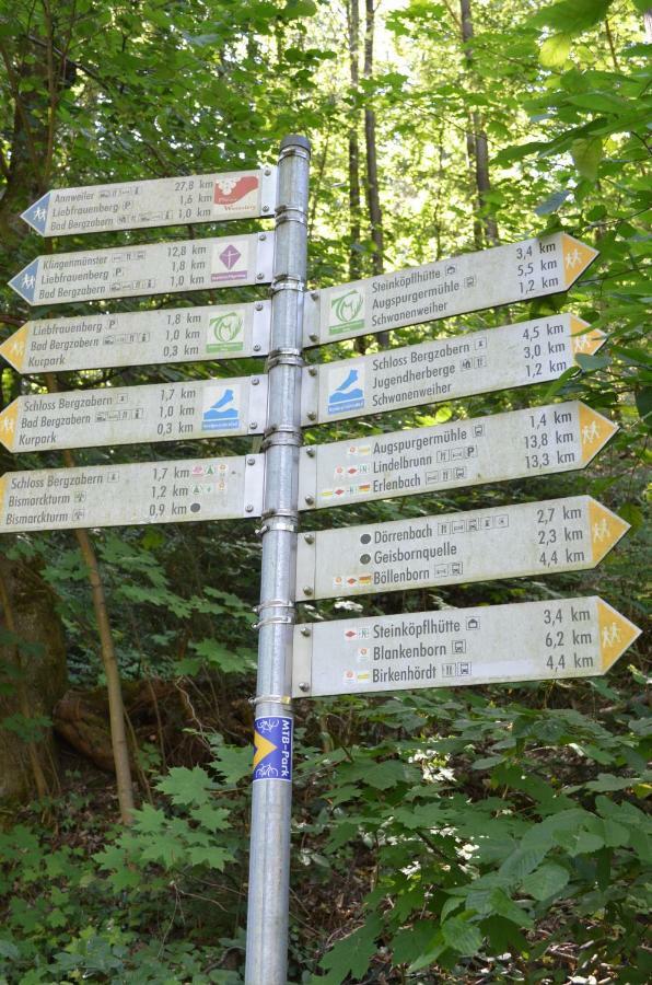 Ferienwohnung Berger Kurparkresidenz Bad Bergzabern Eksteriør bilde